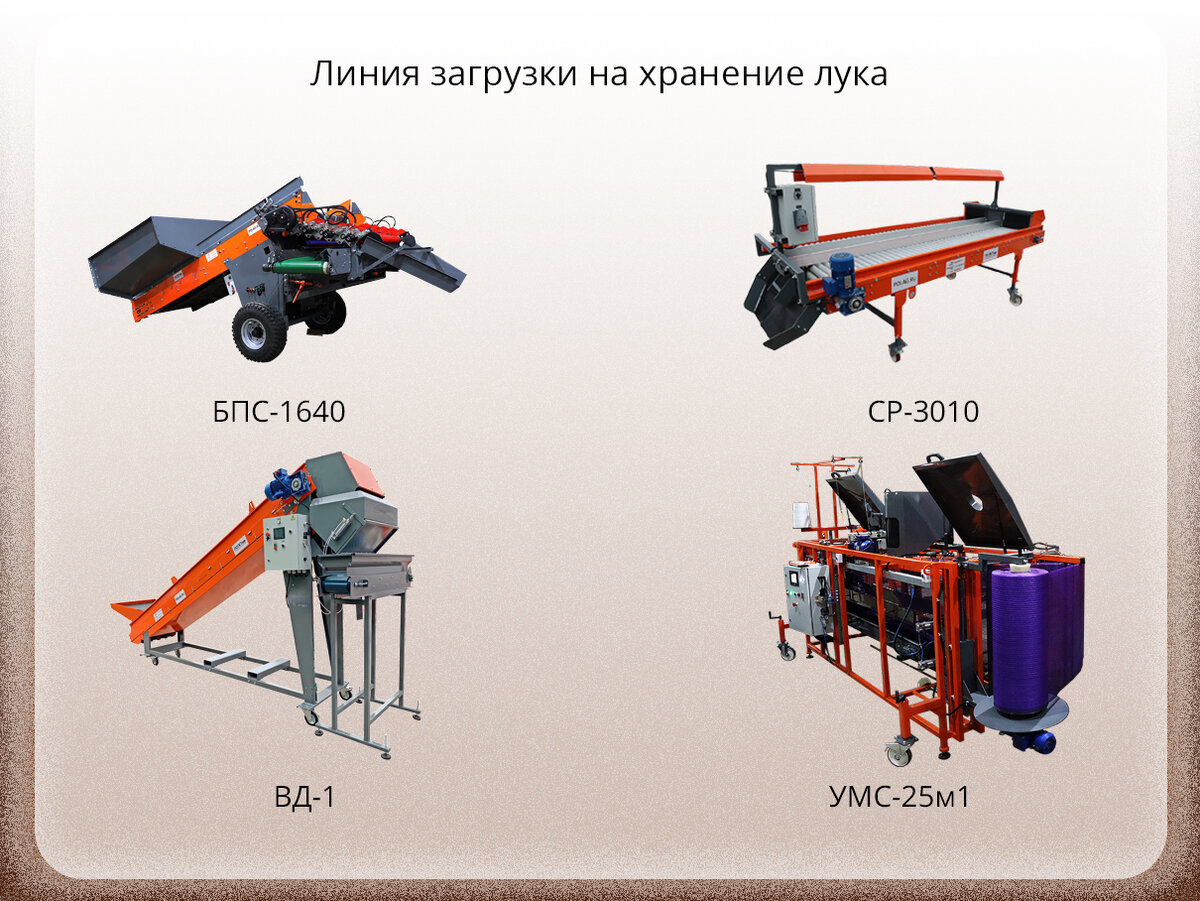 Линия загрузки на хранение лука