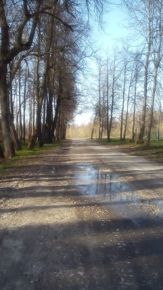 Фото автора. 
