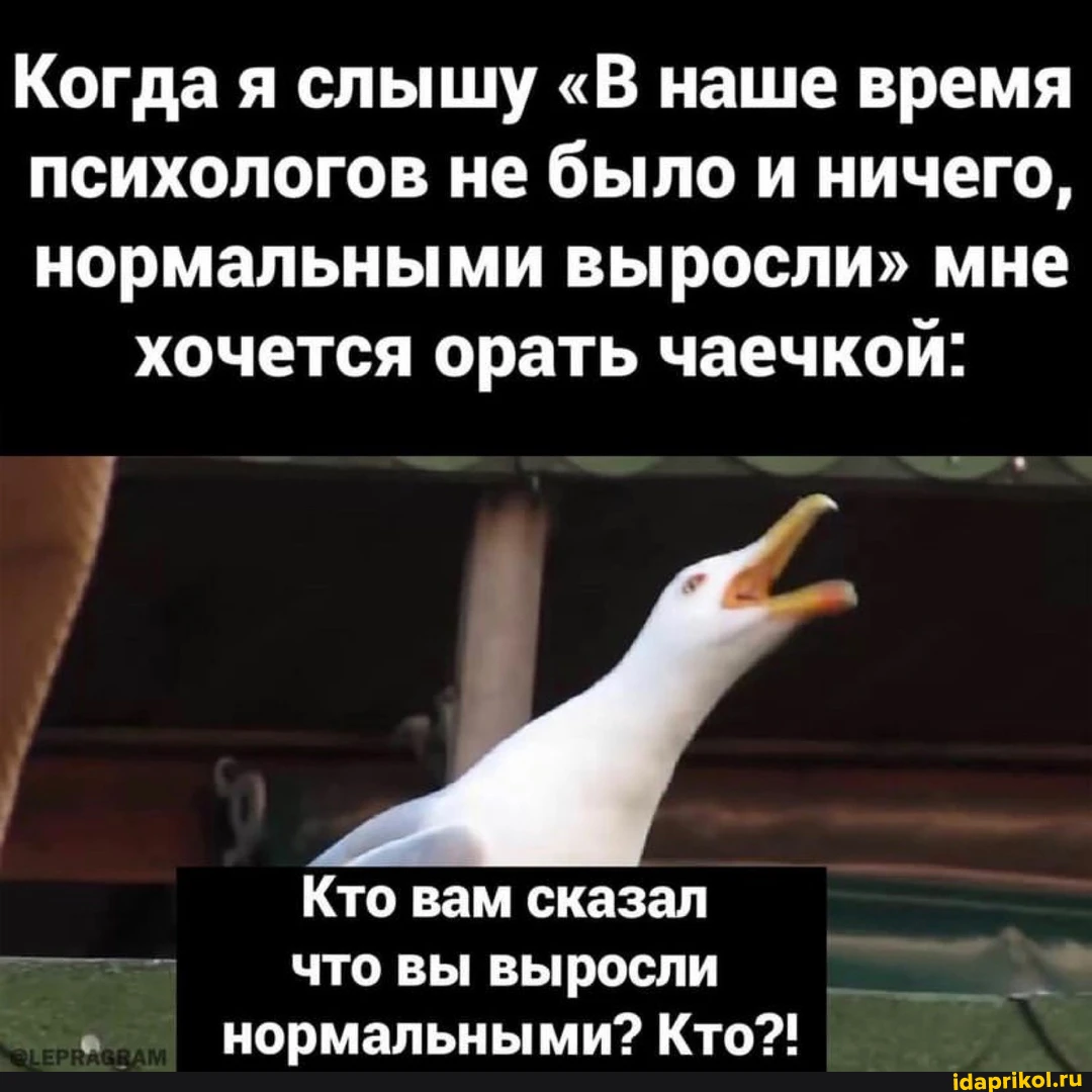 Хочу ору. Кто вам сказал что вы выросли нормальными. В наше время психологов не было и ничего нормальными. Не было психологов и выросли нормальными. Когда я слышу в наше время психологов не.