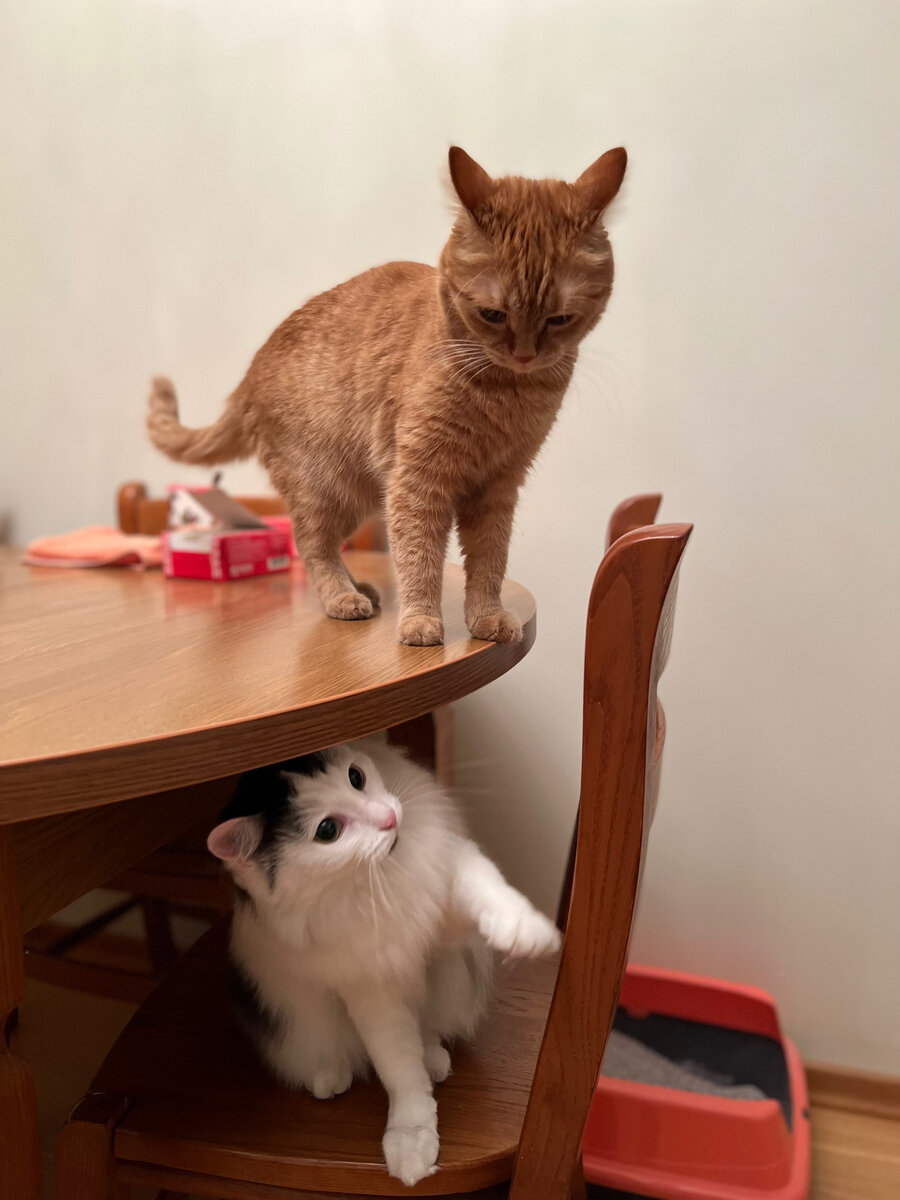 Регулярный прием пищи и воды