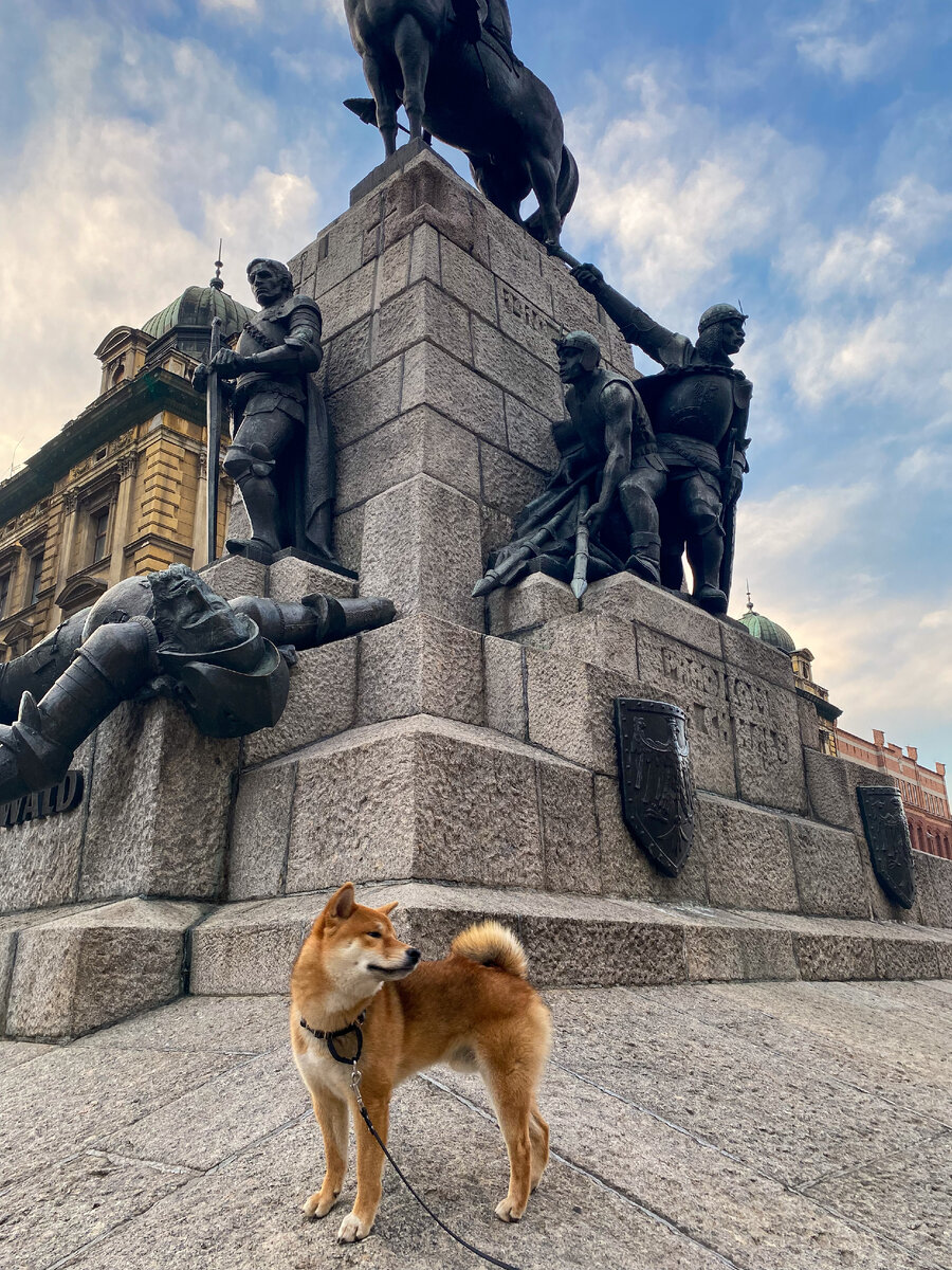 Позирую около памятника королю Владиславу Ягайло