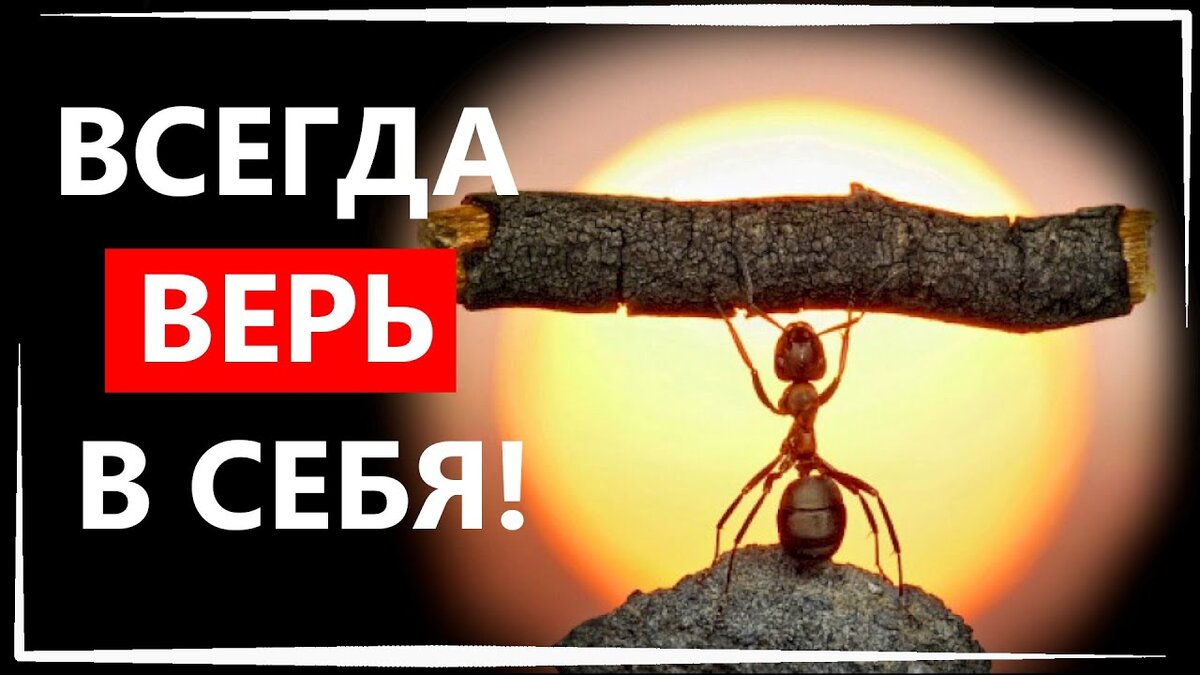 Фото из интернета. "Вижу цель, верю в себя и не вижу препятствий".