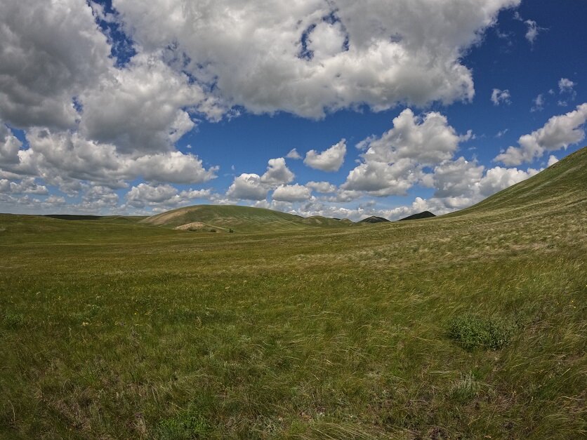 Фото из архива Александра Тикка и Ренаты Химидуллиной