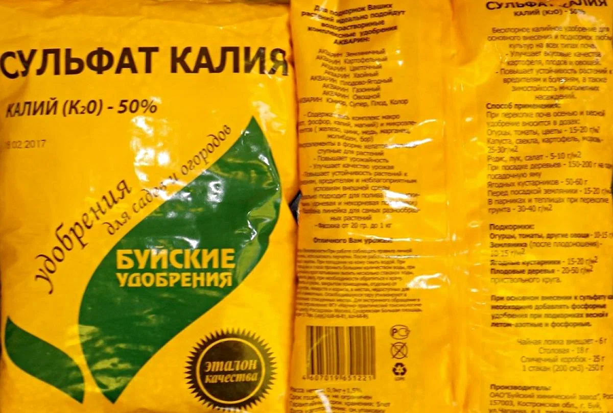 Фото из интернета
