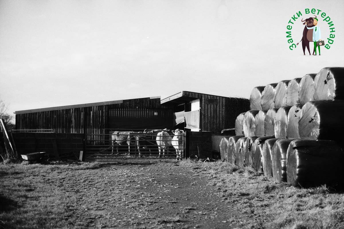 Фото: unsplash.com