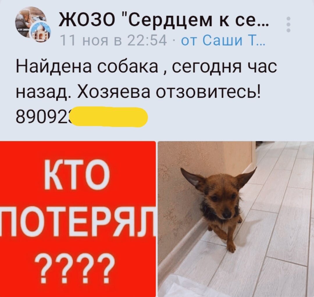 Такой пост мы увидели поздним вечером