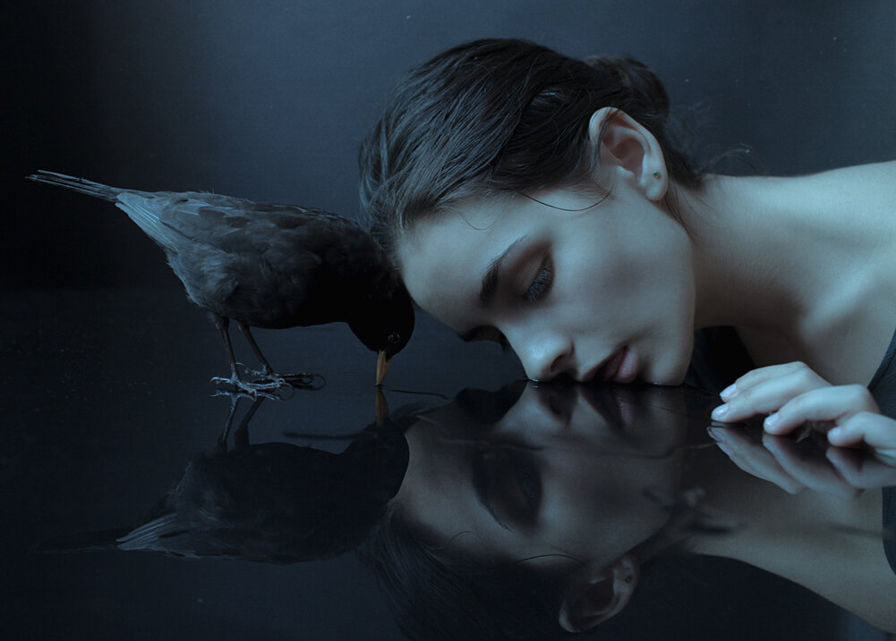 Life in photographs.  Laura Macabrescu.