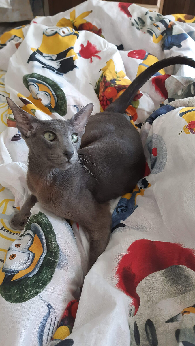 Проснулась, проснулась?!!