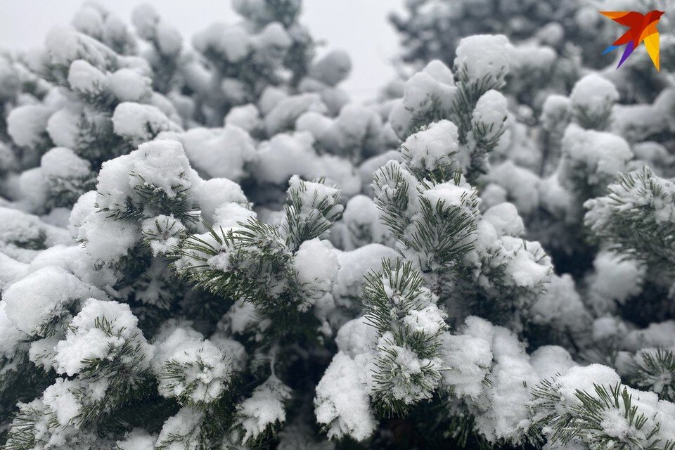     Узнали, что можно и нельзя делать в Проклов день 3 декабря. Фото: архив «КП»