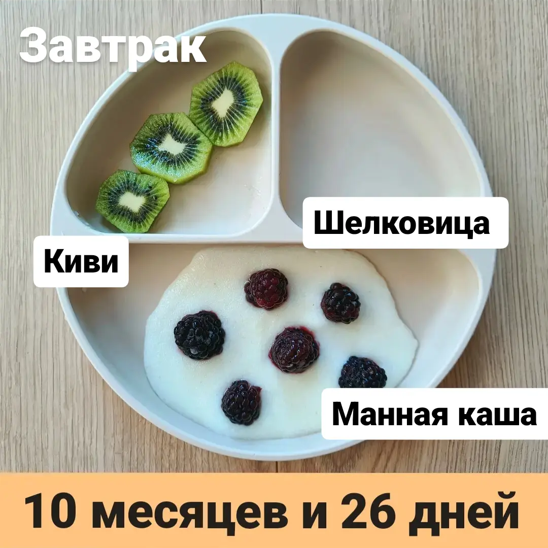 Пример тарелки в 10 месяцев 