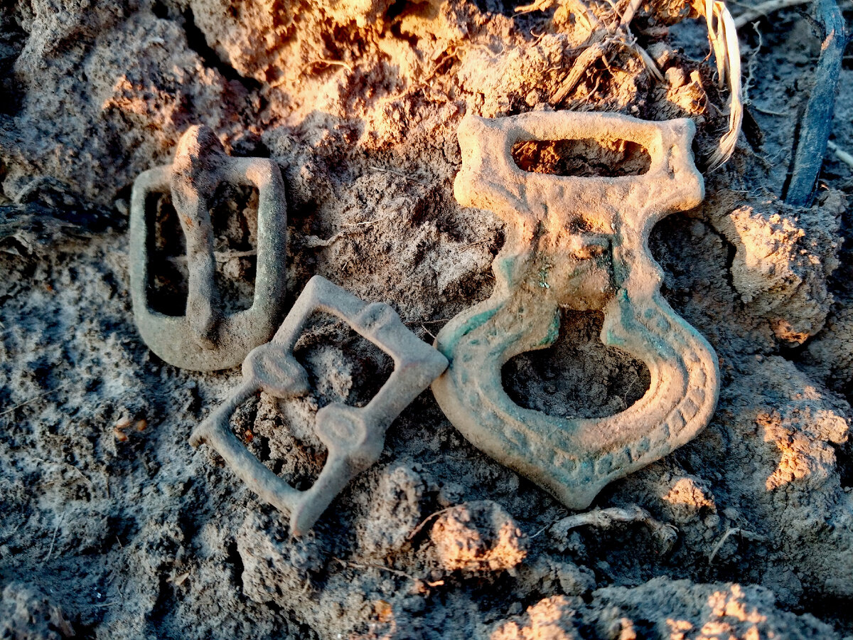 редкие древние