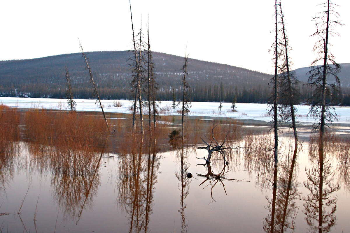 Природа, которой на нас начхать круглый год: и весной... (листай вправо)