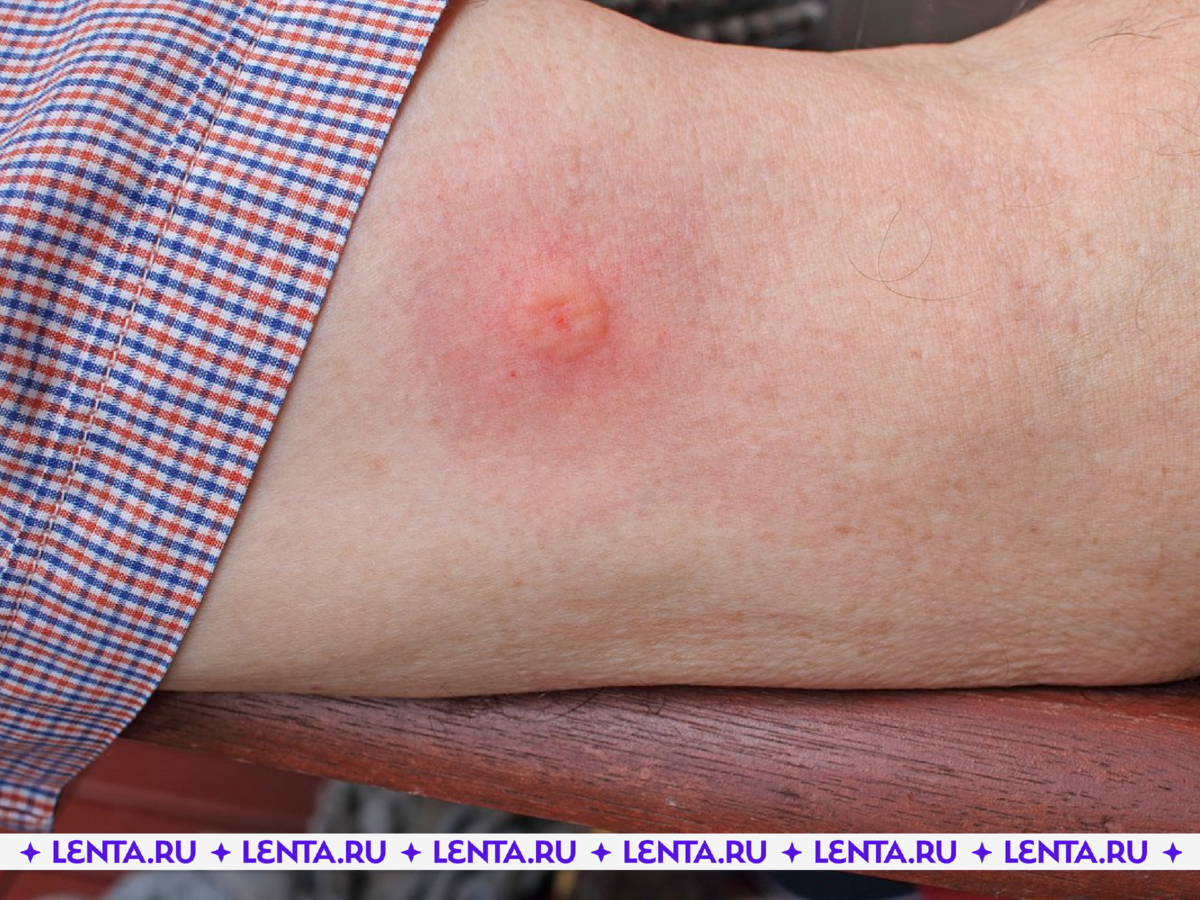 Фото: Douglas Cliff / Shutterstock / Fotodom