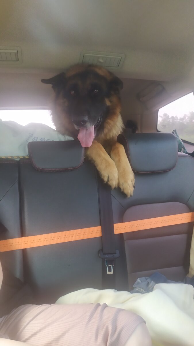 Хозяин, кондей включи