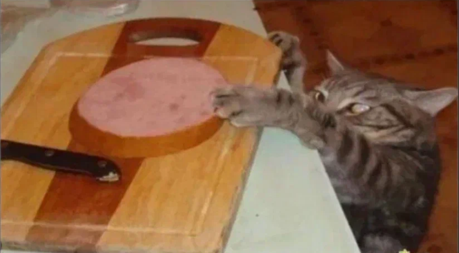 Фото из открытых источников.