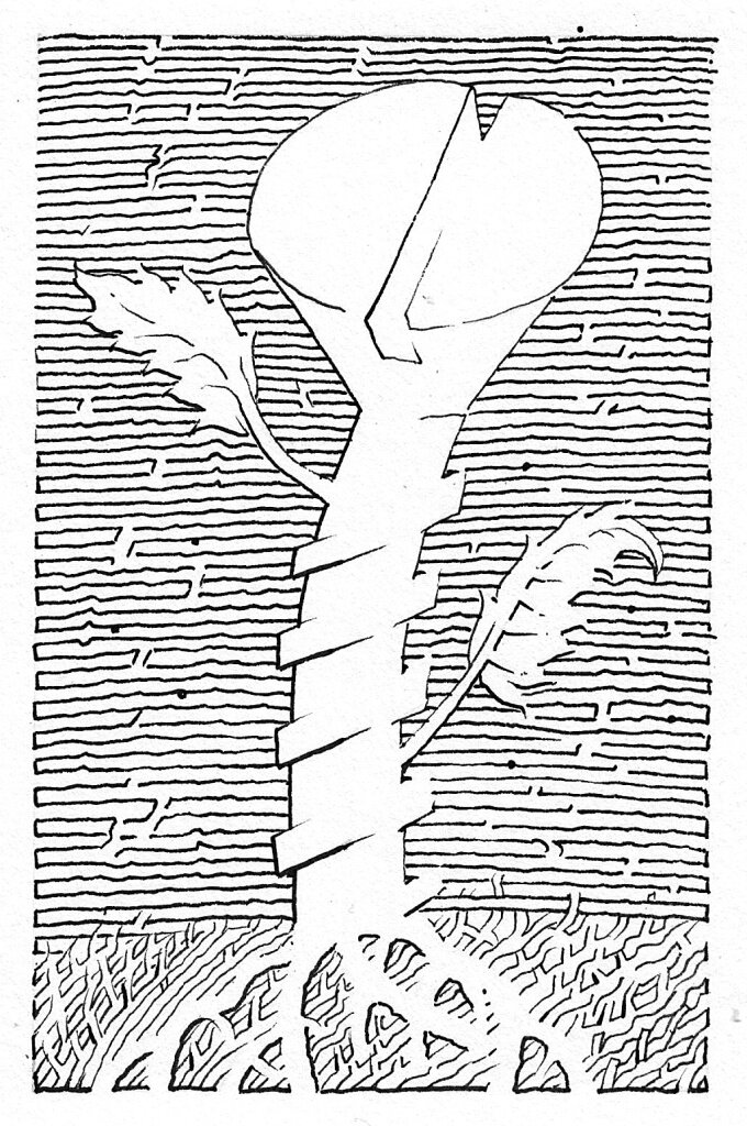 Иллюстрация Петра Перевезенцева