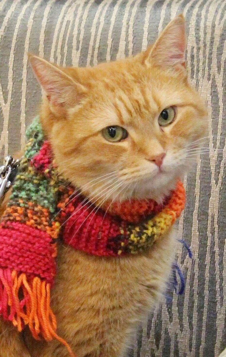 Источник: Яндекс картинки