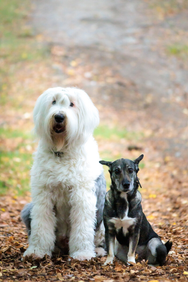 И даже эти - не продаются, увы))