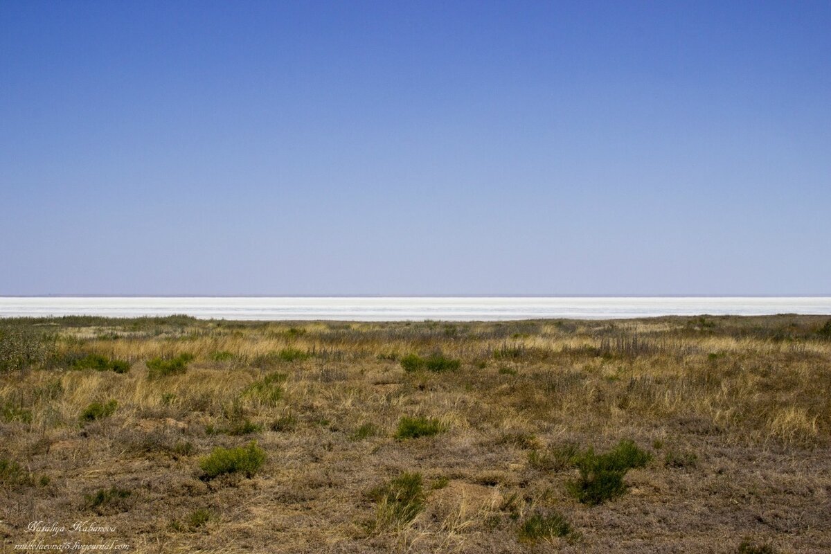 Так вот, берега Эльтона. 
Со стороны Старого Эльтона берега сплошь заросли колючками и травой.
1.

