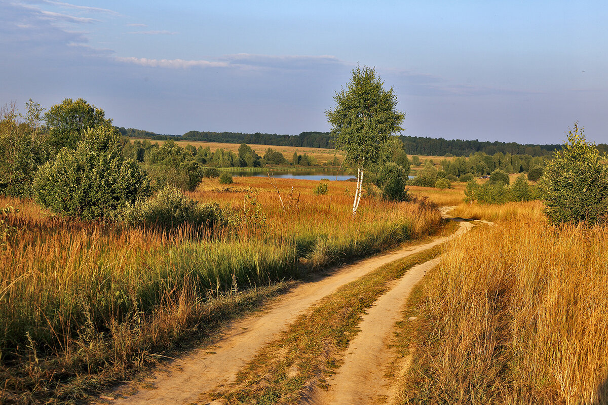 Природа в деревне летом фото