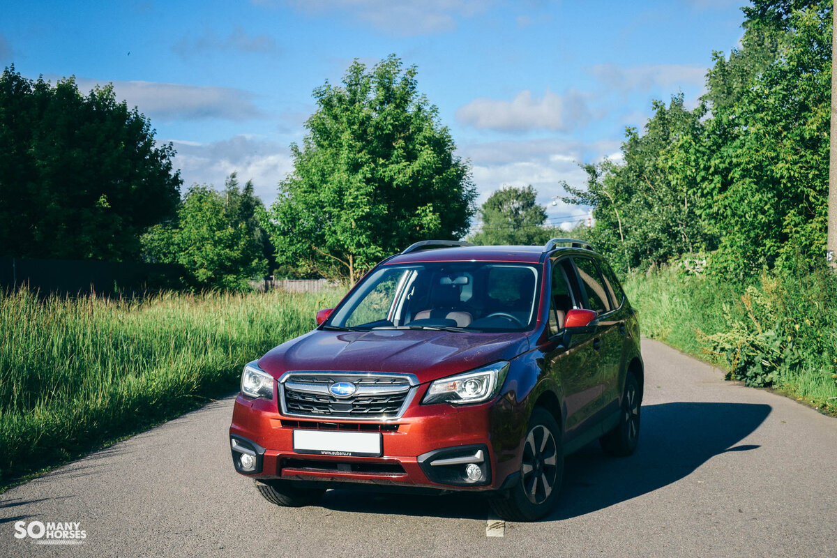 Тест-драйв Subaru Forester | Somanyhorses | Дзен