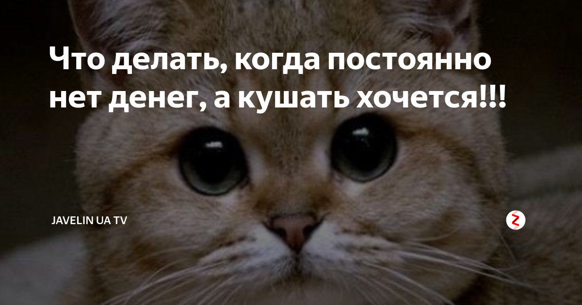 Обмани голод: что делать, если постоянно хочется есть. 18 ноября г. Кубанские новости