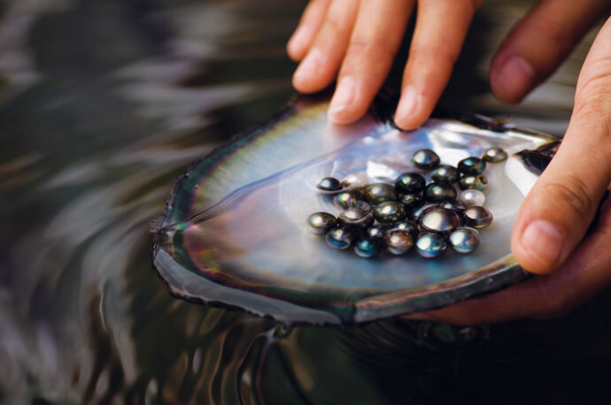 Бора-Бора, ферма по выращиванию чёрного жемчуга