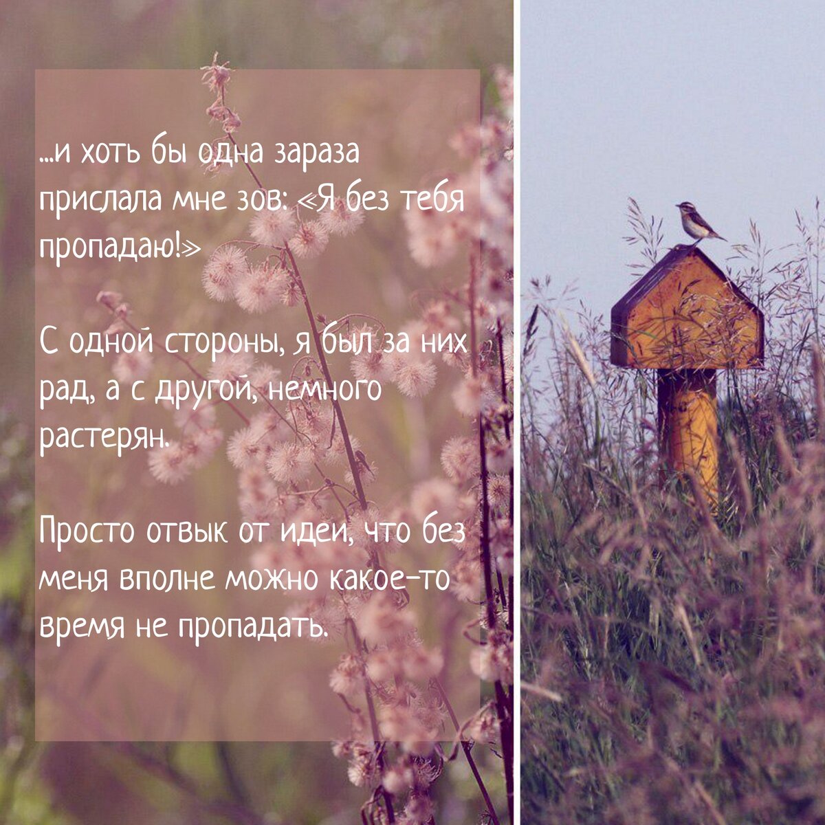 ...и хоть бы одна зараза прислала мне зов: "Я без тебя пропадаю!" С одной стороны, я был за них рад, а с другой, немного растерян. Просто отвык от идеи, что без меня вполне можно какое-то время не пропадать.