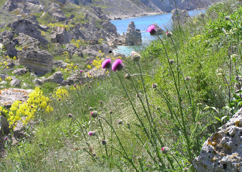 ПЛЯЖИ  НА МЫСЕ ТАРХАНКУТ В КРЫМУ