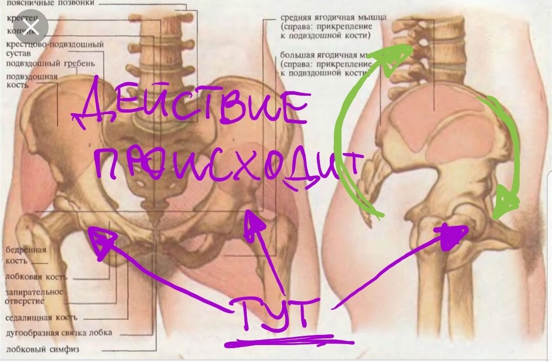 Линия подвздошной кости