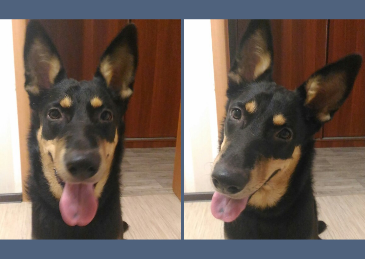 Привет, я скучала...