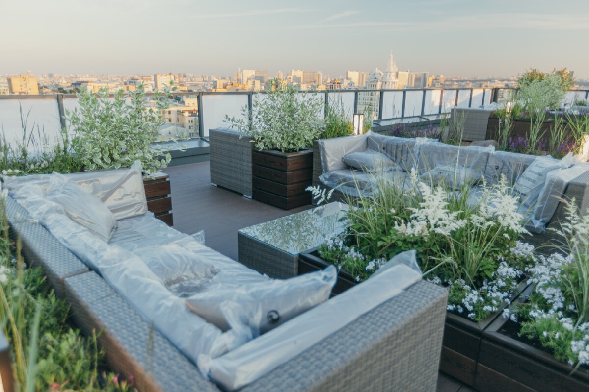 Озеленение крыши в центре Москвы