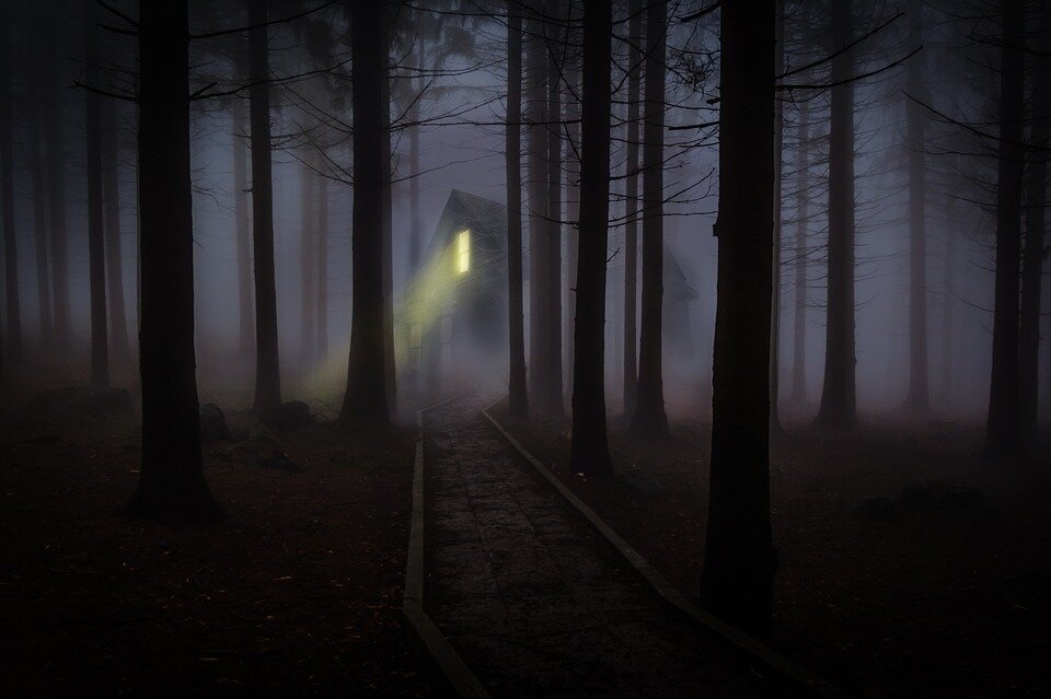 https://pixabay.com/ru/photos/туманно-туман-леса-деревья-545838/