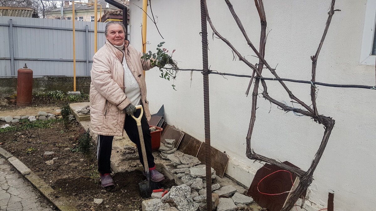 Заканчиваем наш последний цветник, посадили магонию