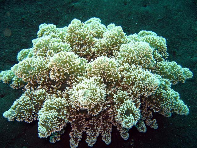 Источник: yandex.ru