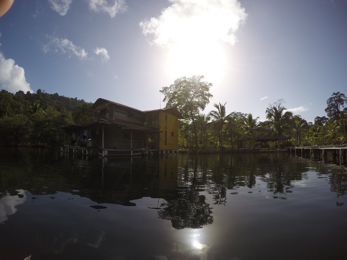 Наш новый дом