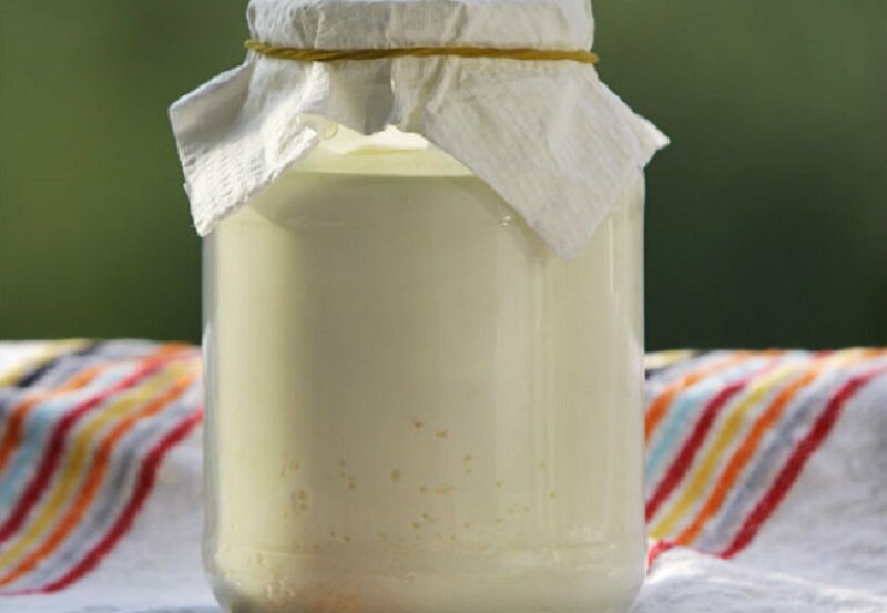 Готовим густую сметану из магазинного молока необычным способом 