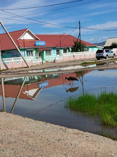 Фото: Сохондинский заповедник