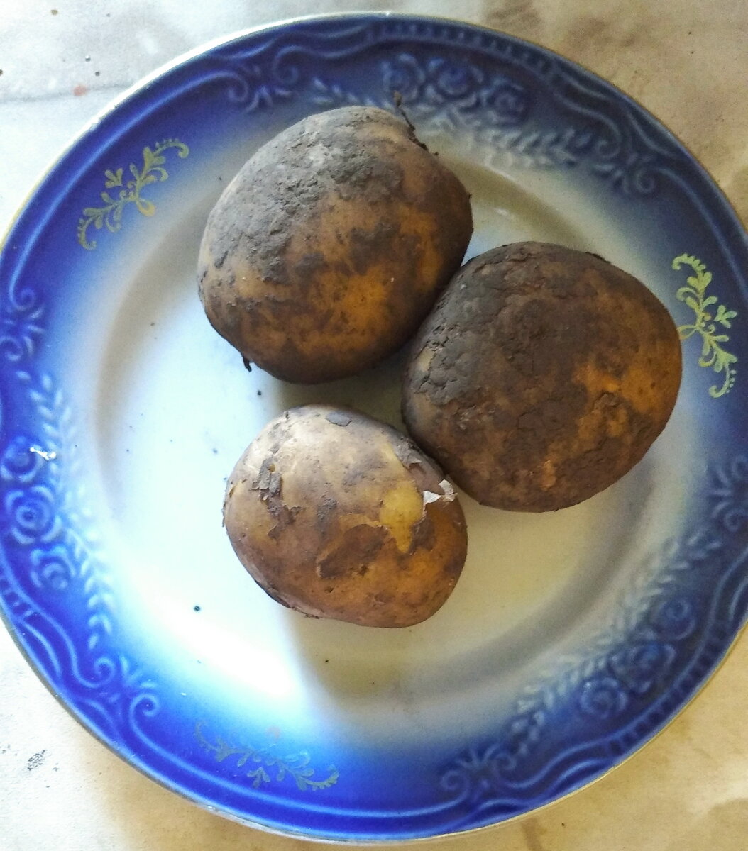 Личное фото.