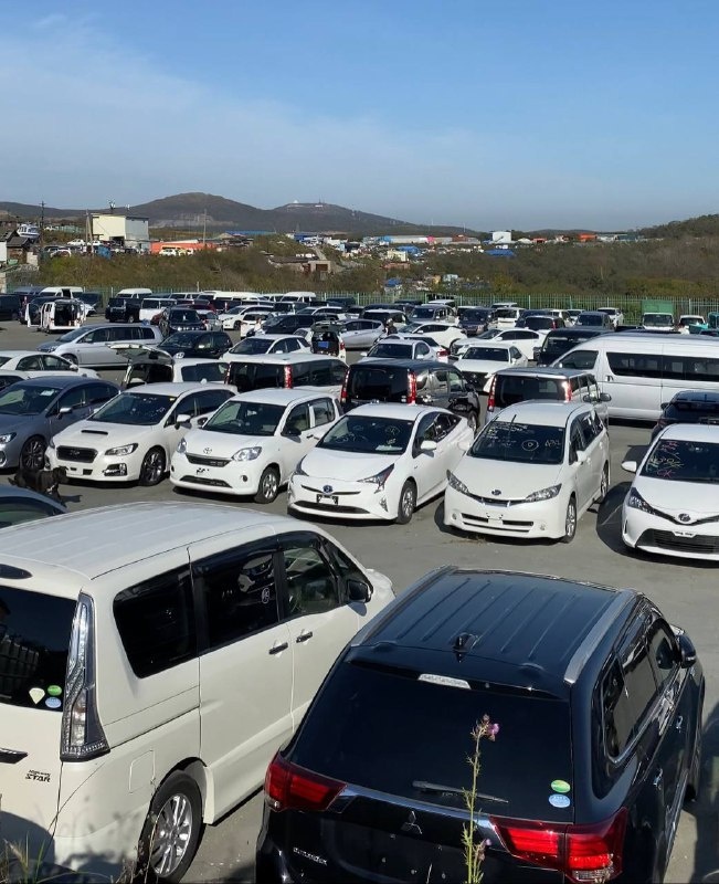 Рынок живёт уже более 20 лет