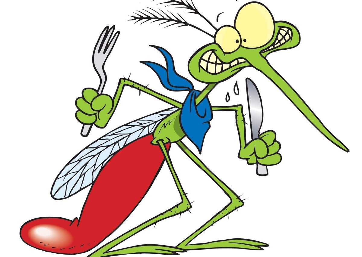 Читайте с удовольствием, ставьте ЛАЙК, пишите комментарии и подписывайтесь на канал