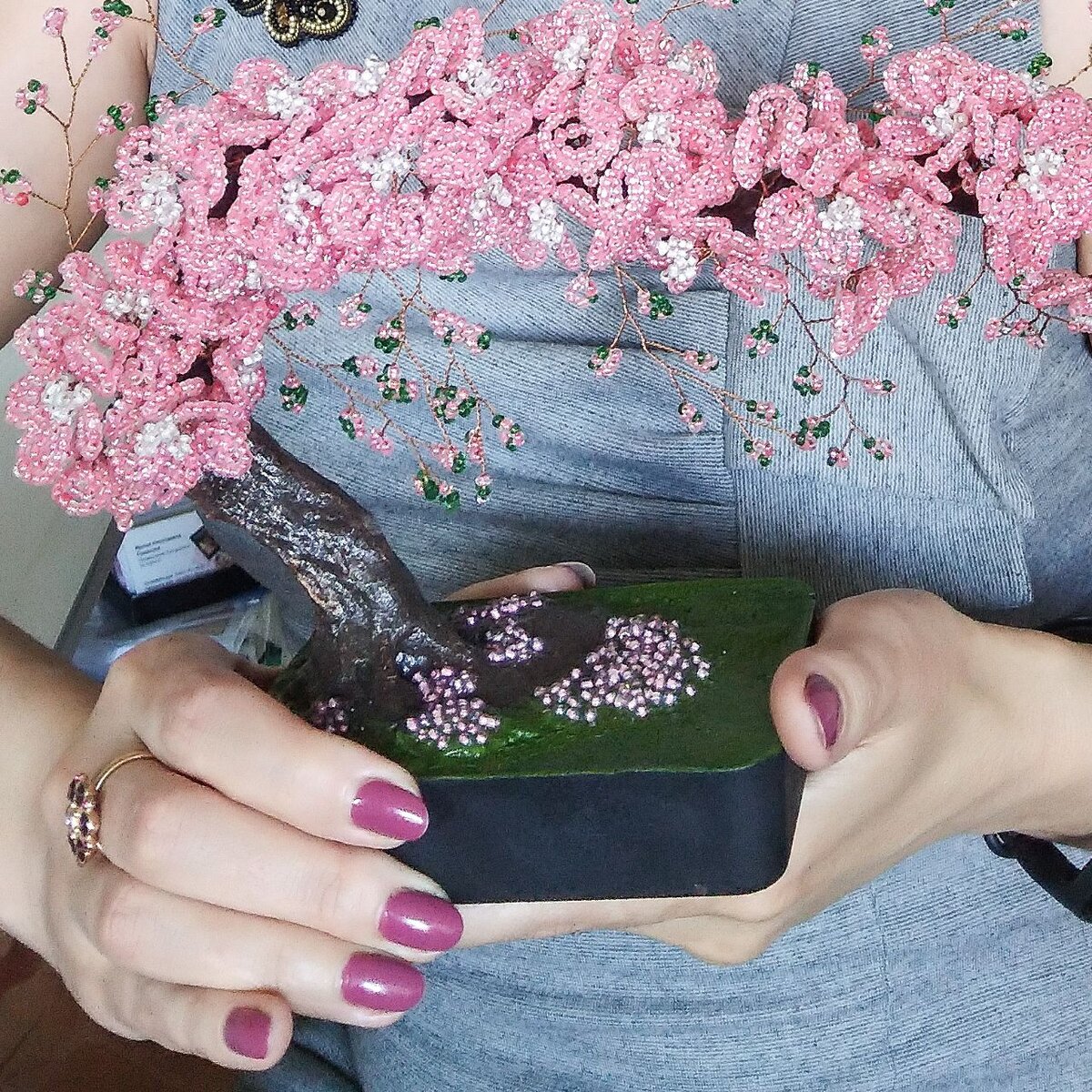 Бонсаи Сакура