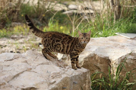 Фото взято с бесплатного фотостока