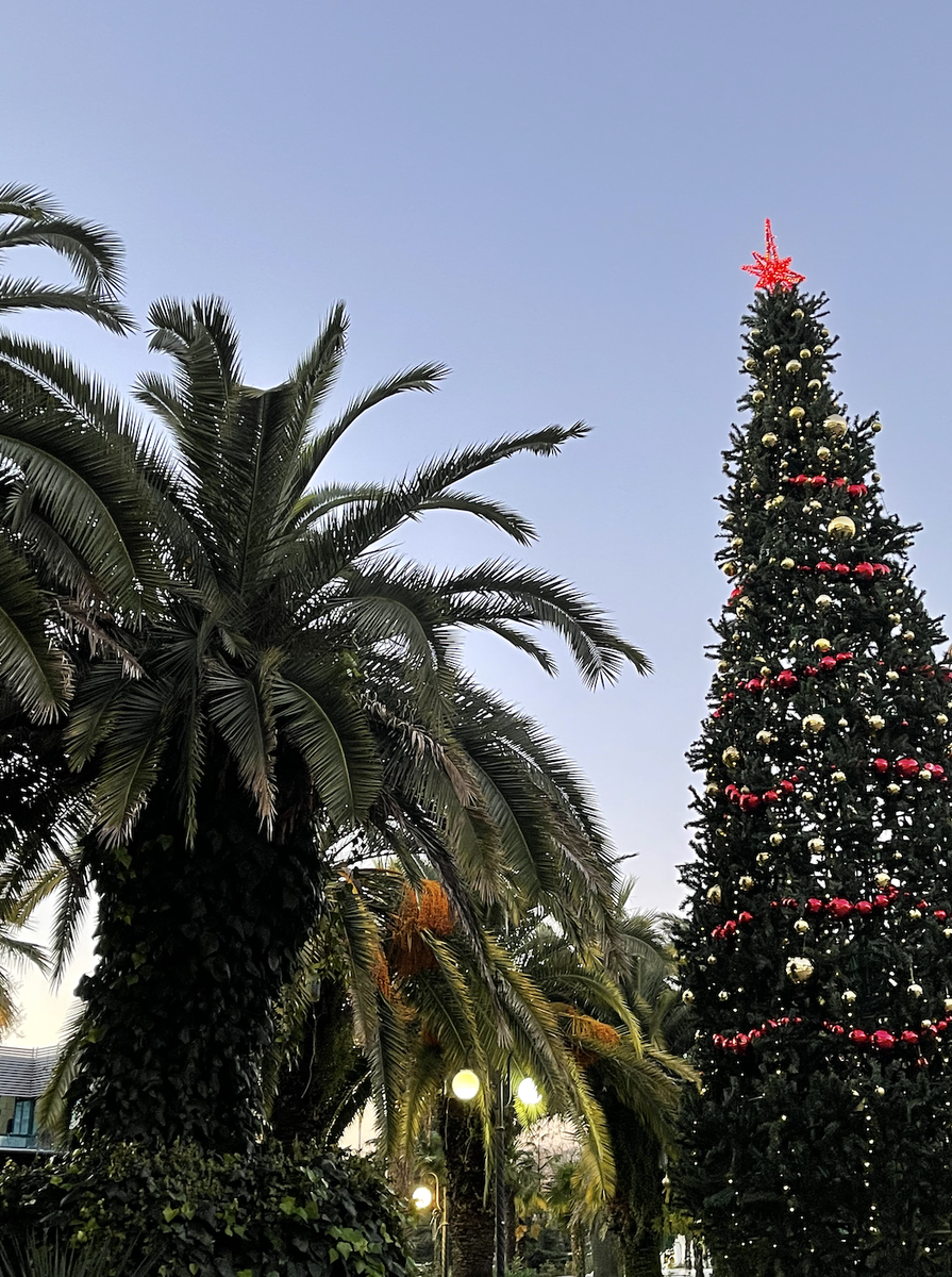 Новогоднее настроение в Сочи.