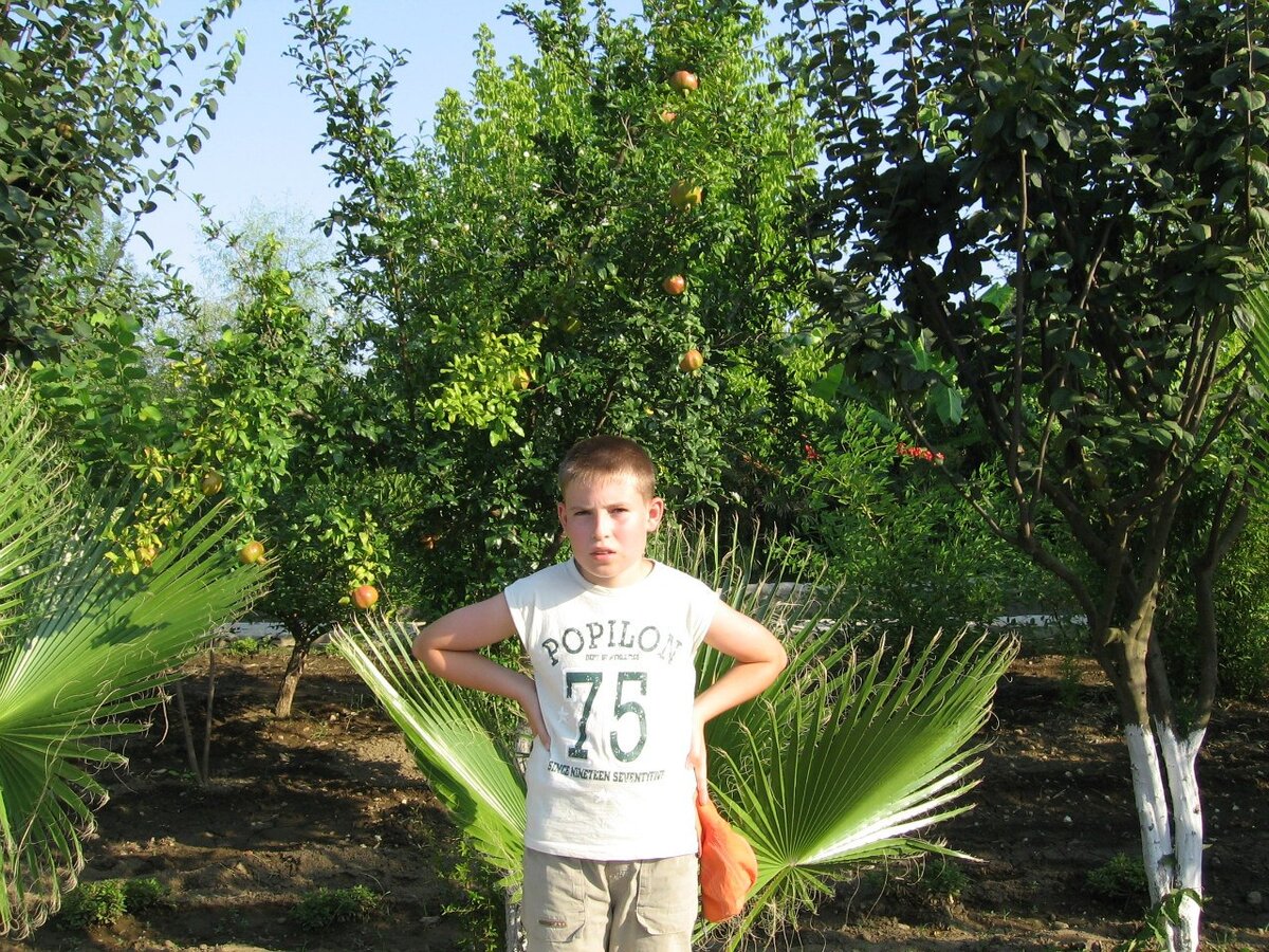 На экскурсии в экопарке