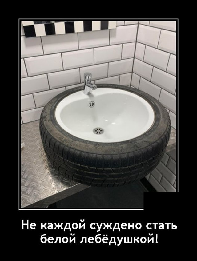 Автор фото: Триникси - ТриниБот 