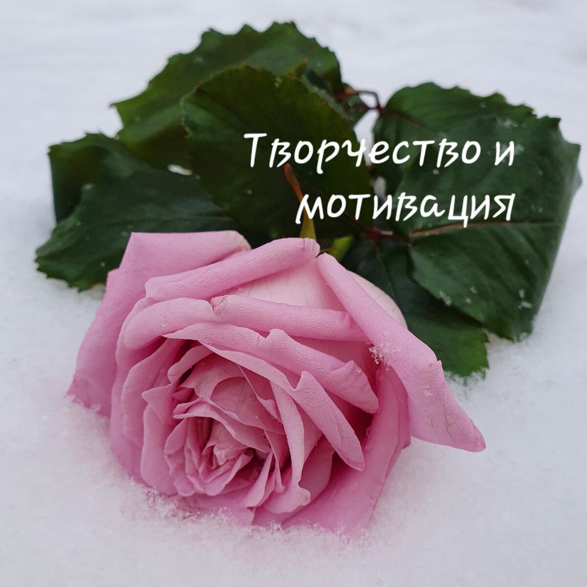 Задавайте свои вопросы в комментариях... 
