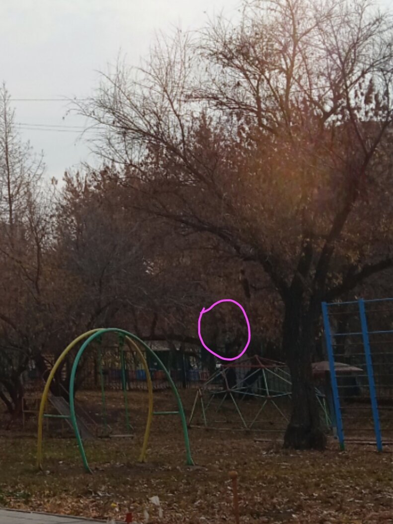 Внимание на выделенную область!