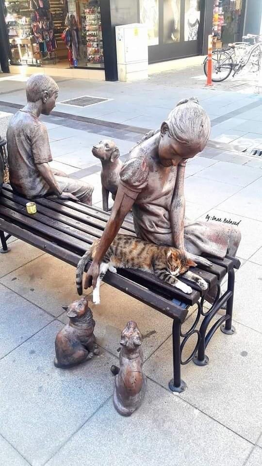 фото из сети