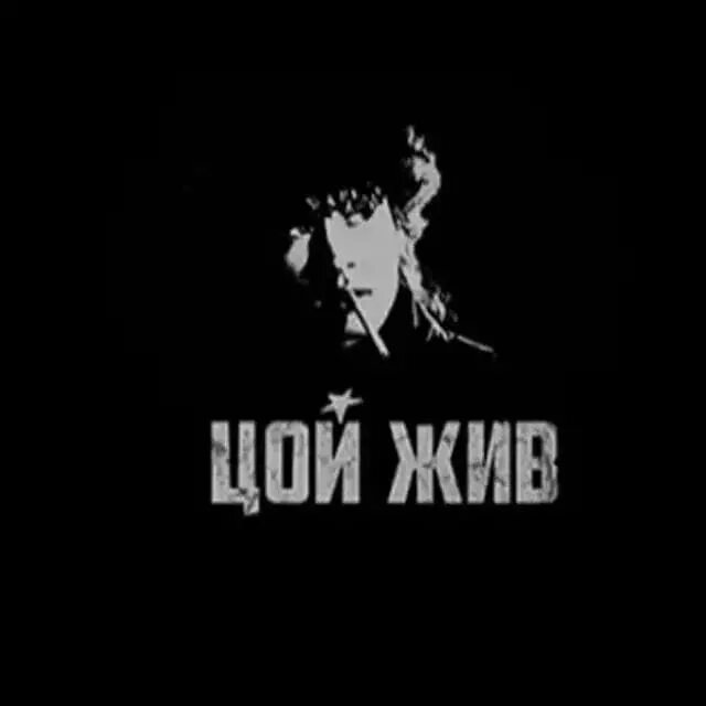 коллаж из открытого источника. фото - И. Старцев